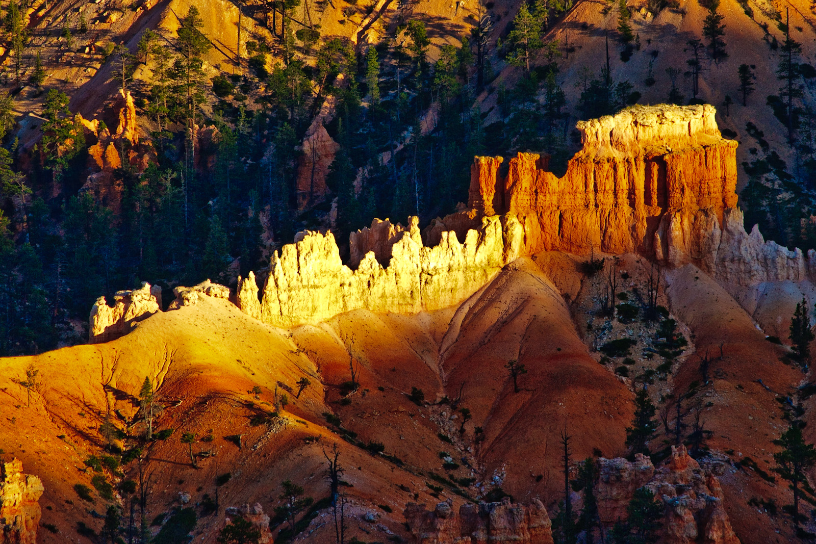 Bryce Canyon im Nachmittagslicht
