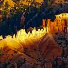 Bryce Canyon im Nachmittagslicht