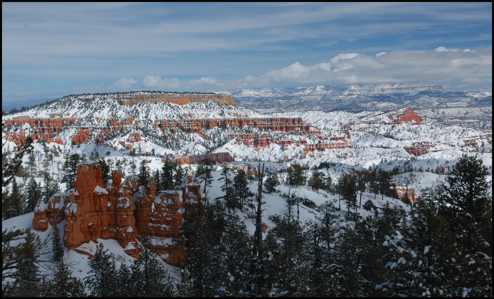 Bryce canyon im Schnee 1