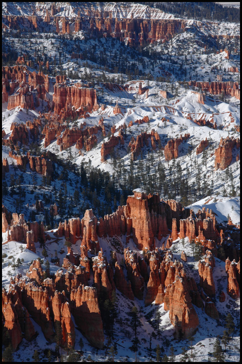 Bryce canyon im Schnee 2