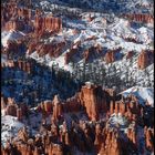 Bryce canyon im Schnee 2