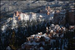 Bryce canyon im Schnee 3