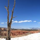 Bryce Canyon im Schnee