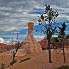 Bryce Canyon im Südwesten der USA 2006