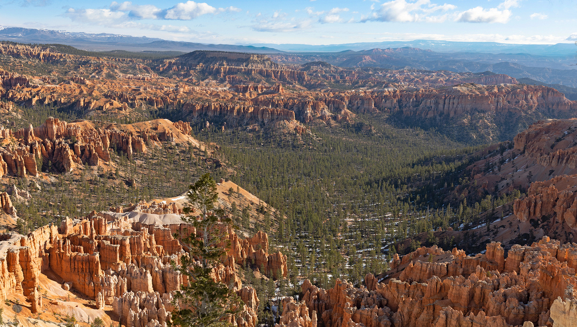 BRYCE CANYON im US-Staat Utha