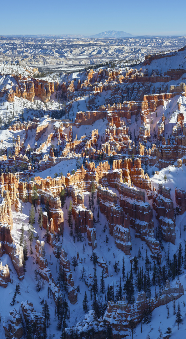 Bryce Canyon im Winter #4