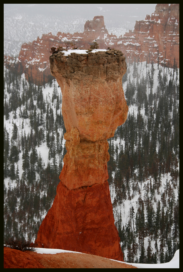 Bryce Canyon im Winter