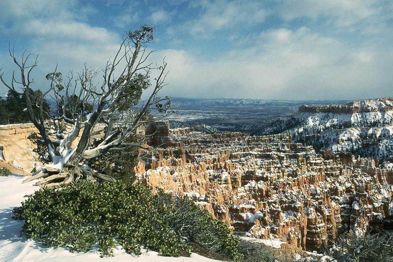 Bryce Canyon im Winter