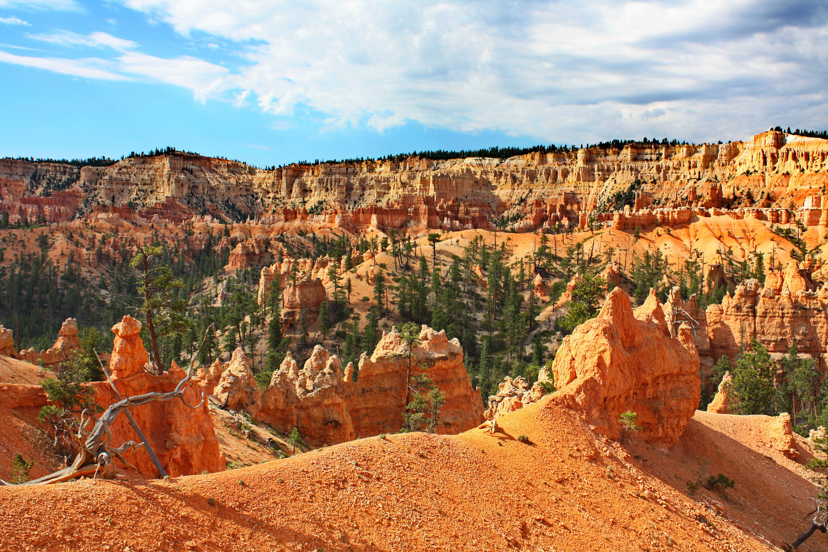 Bryce Canyon in Queens Garden...