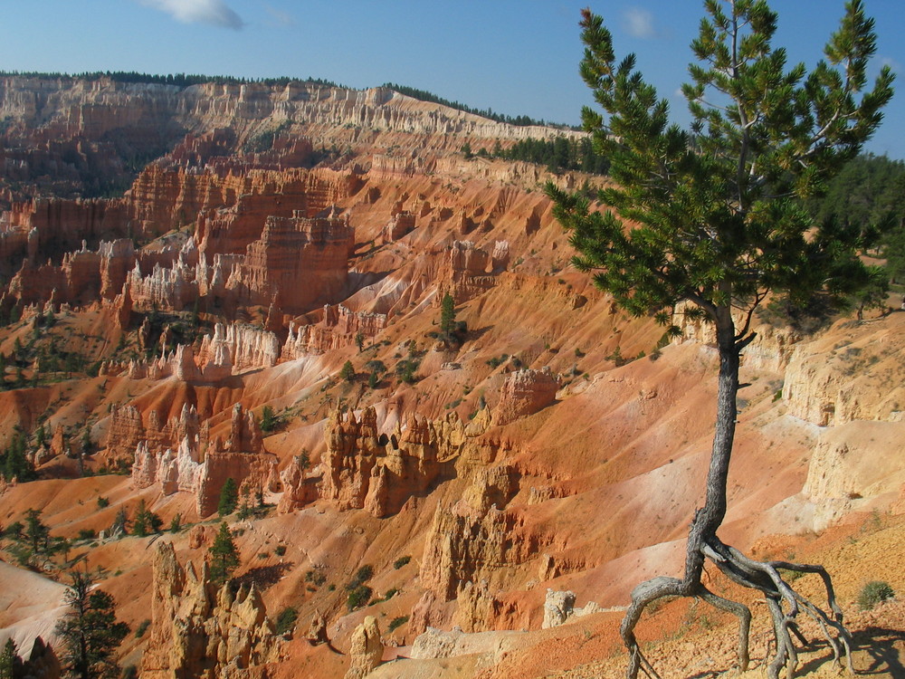 Bryce Canyon in Utah