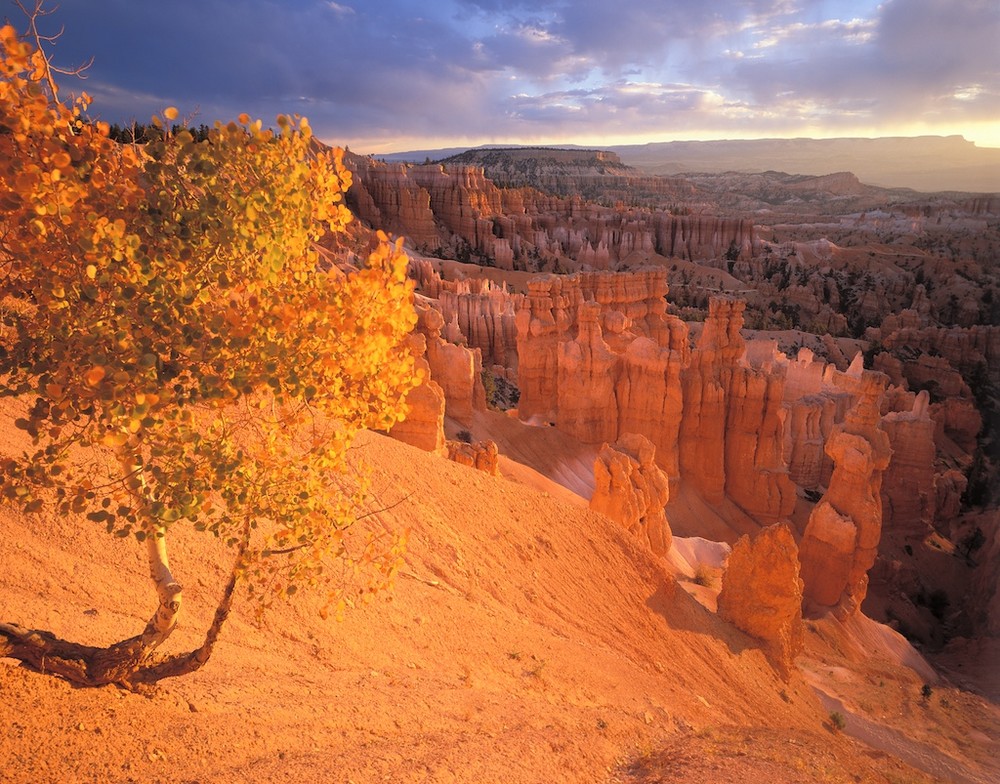 Bryce Canyon in Utah