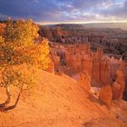 Bryce Canyon in Utah