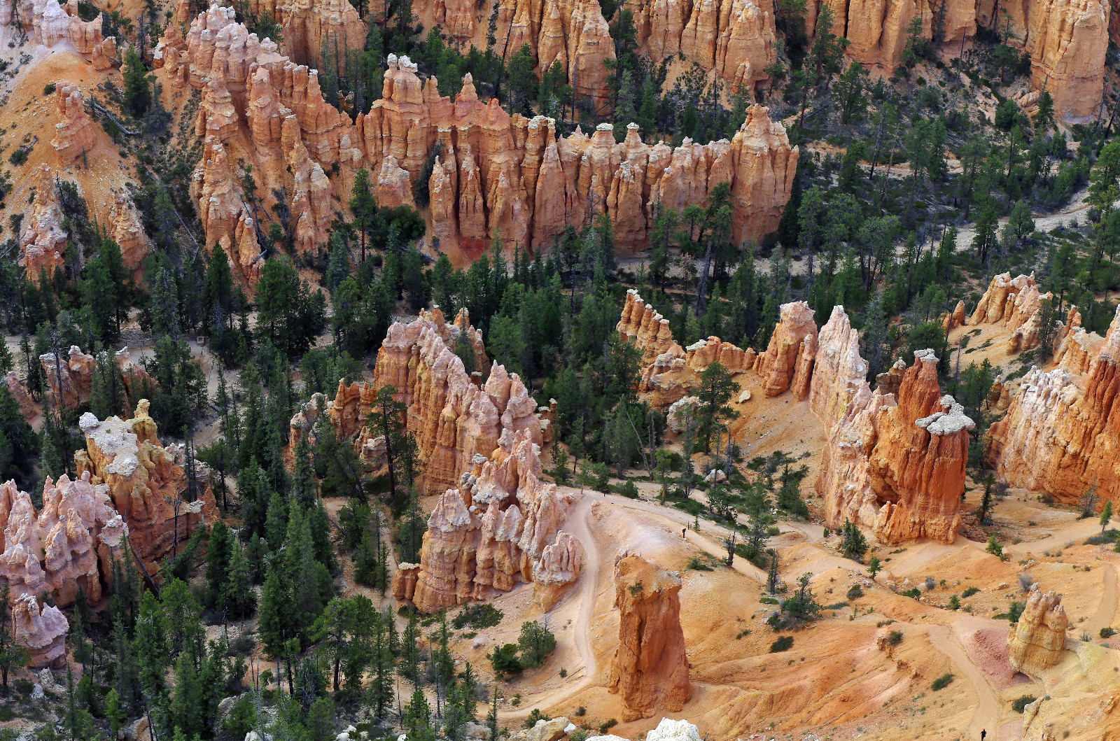 Bryce Canyon IV