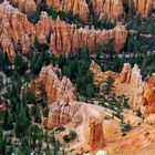 Bryce Canyon IV