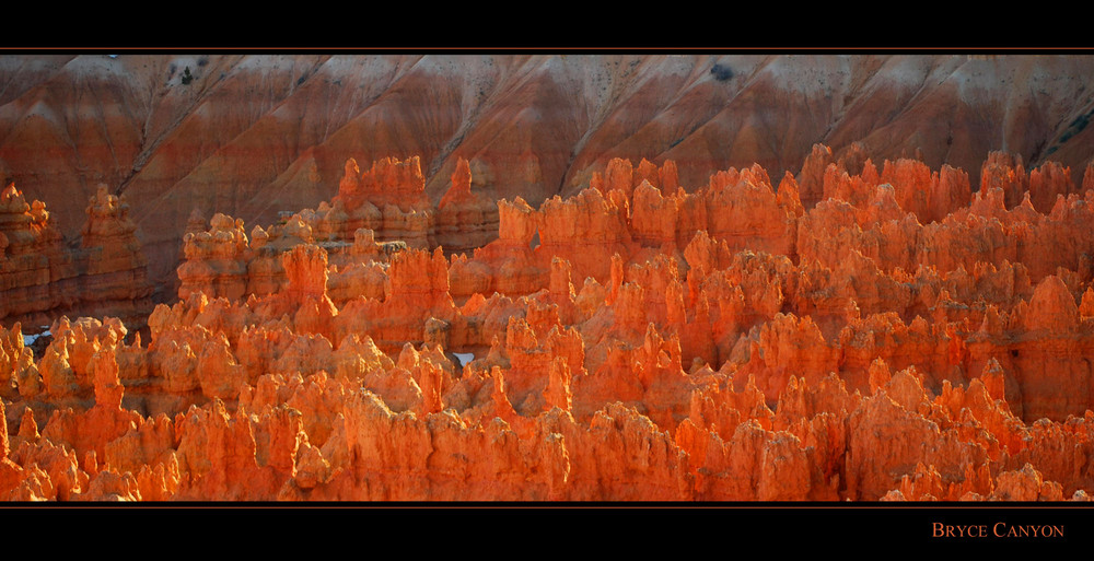 Bryce Canyon IV