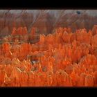 Bryce Canyon IV