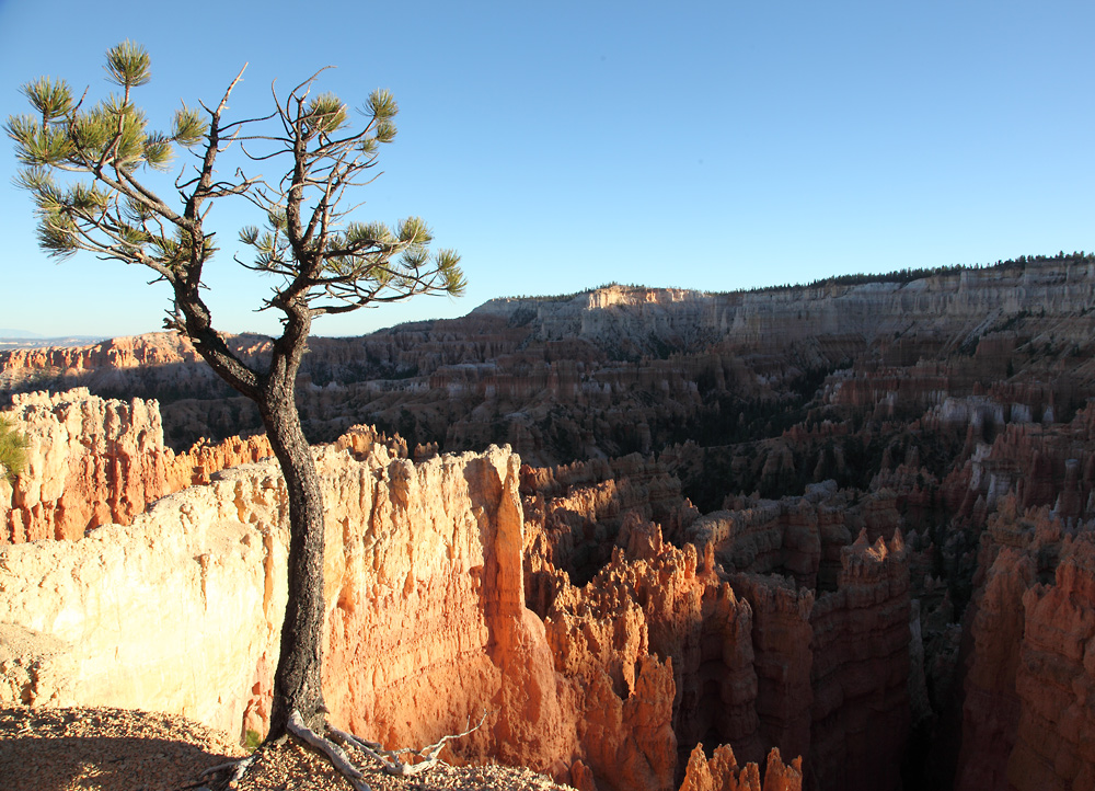 Bryce Canyon kurz vor Sonnenuntergang