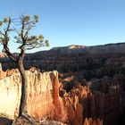 Bryce Canyon kurz vor Sonnenuntergang