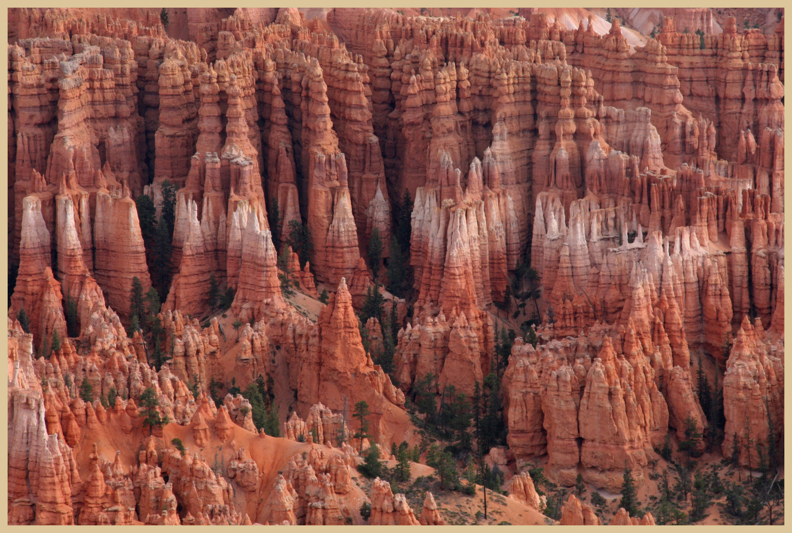 Bryce Canyon late afternoon 8