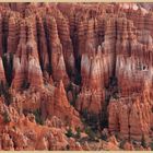 Bryce Canyon late afternoon 8