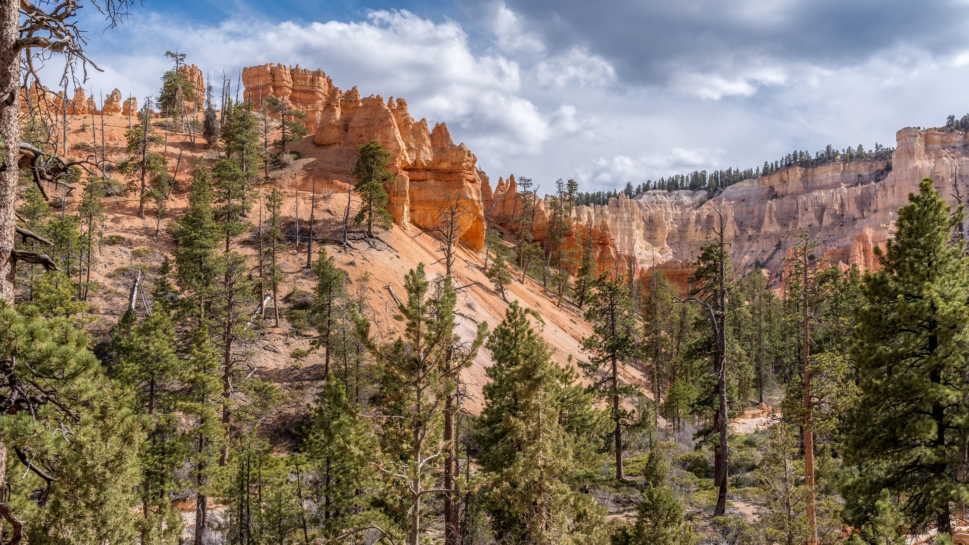 Bryce Canyon ll....