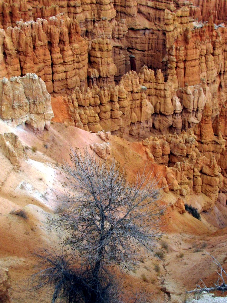 bryce canyon, mon préféré