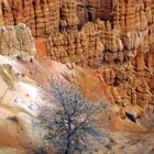 bryce canyon, mon préféré