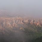 Bryce Canyon National Park im Nebel I