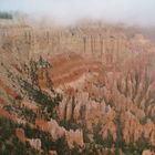 Bryce Canyon National Park im Nebel II