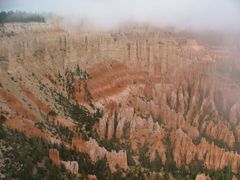 Bryce Canyon National Park im Nebel II