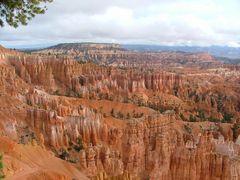 Bryce Canyon National Park im Nebel III