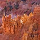 Bryce Canyon National Park (Utah)