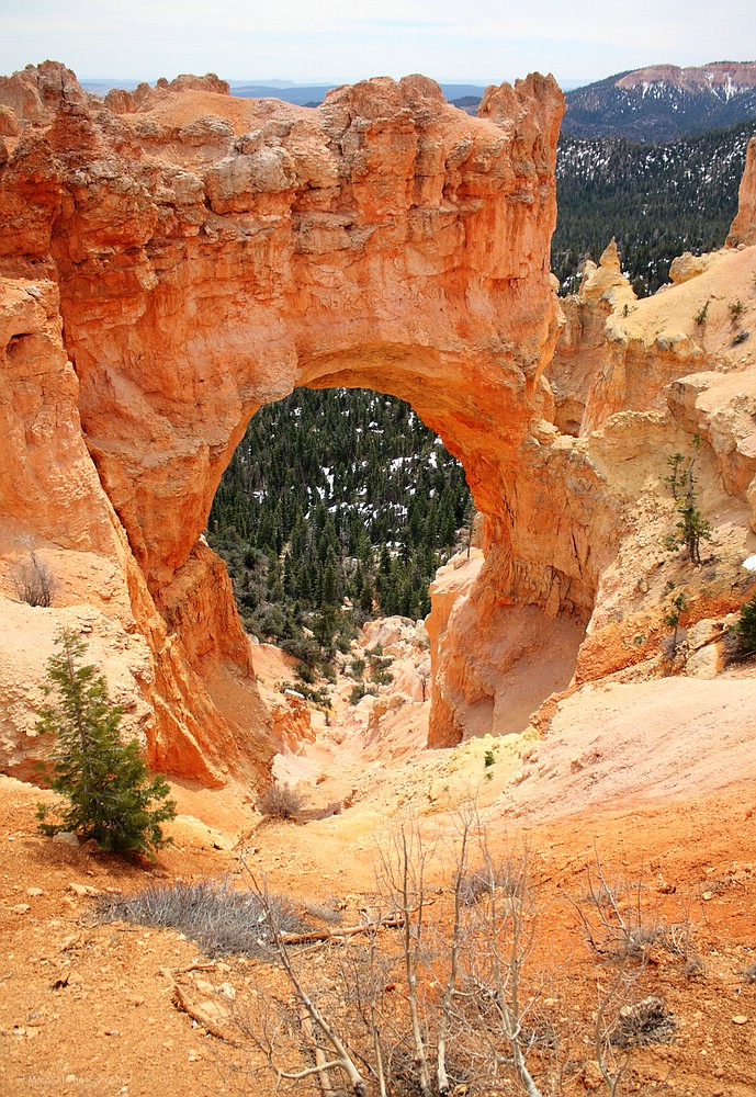 Bryce Canyon National Park, Utah, USA