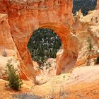 Bryce Canyon National Park, Utah, USA