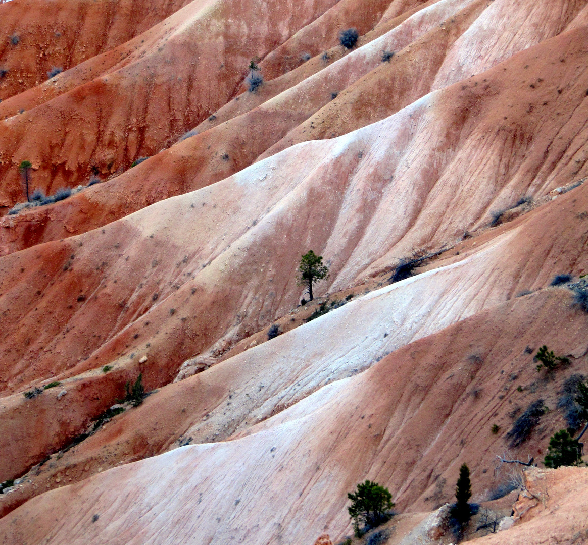 Bryce-Canyon-Nationalpark 2