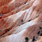 Bryce-Canyon-Nationalpark 2