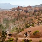 Bryce-Canyon-Nationalpark