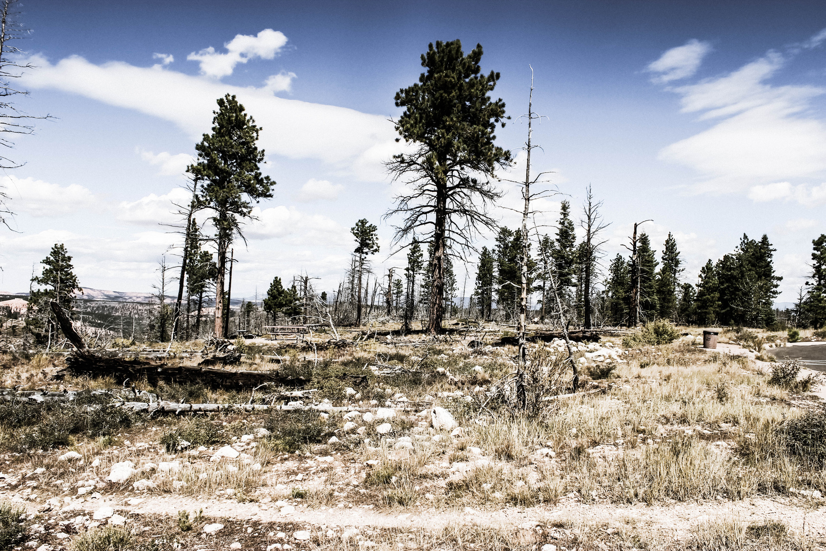 Bryce Canyon Nationalpark