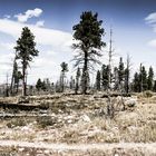 Bryce Canyon Nationalpark