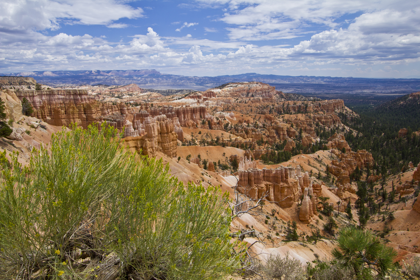 Bryce Canyon Nationalpark - Amphitheater, Utah (USA)