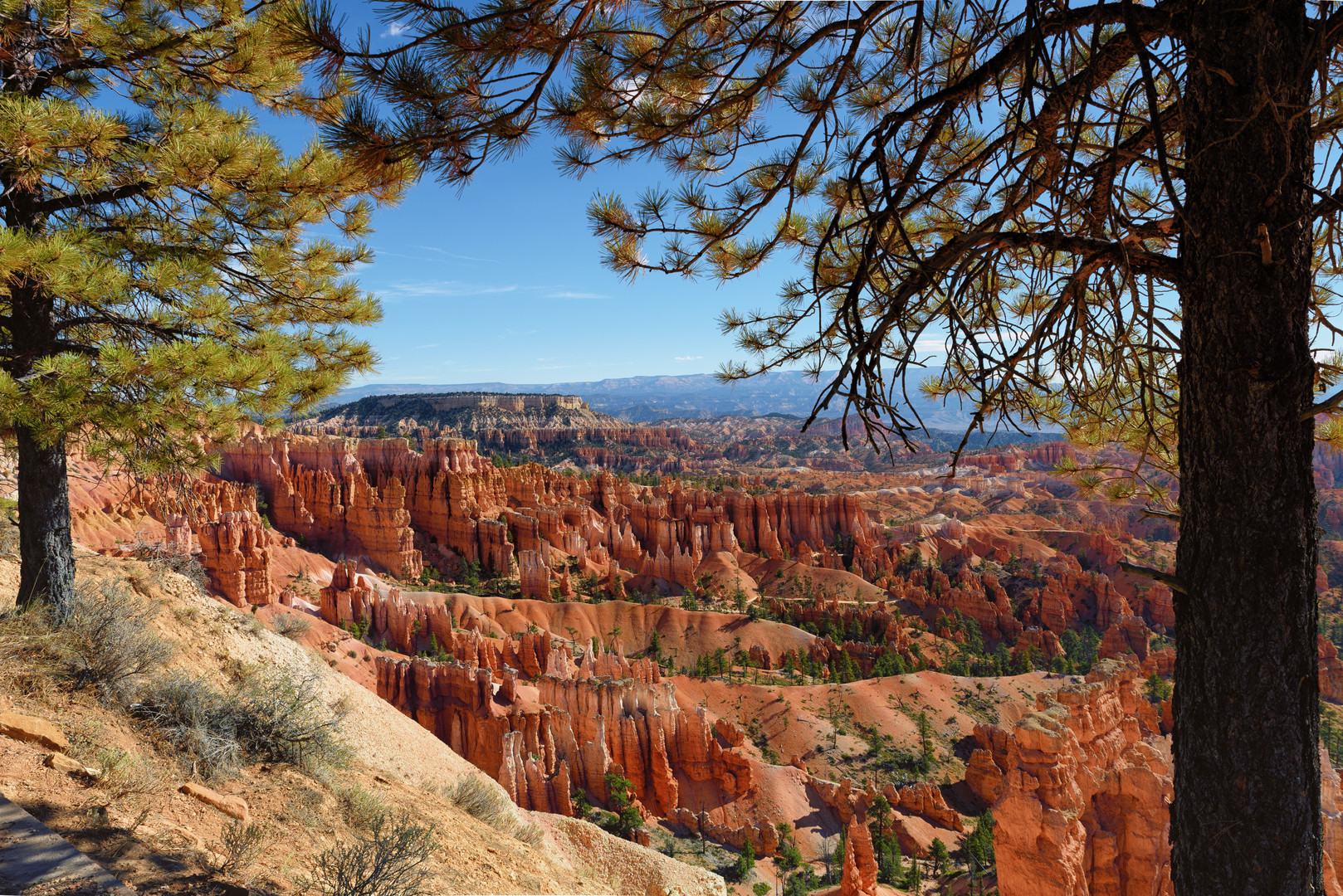 Bryce Canyon Nationalpark (USA) - Amphitheater