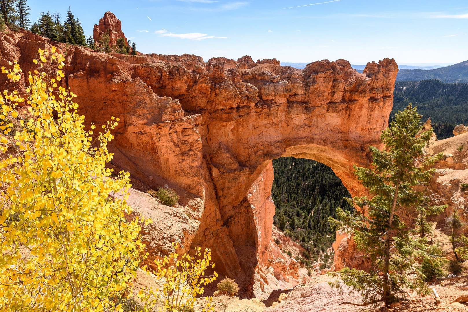 Bryce Canyon Nationalpark (USA) - Natural Bridge