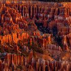 Bryce- Canyon-Nationalpark, Utah