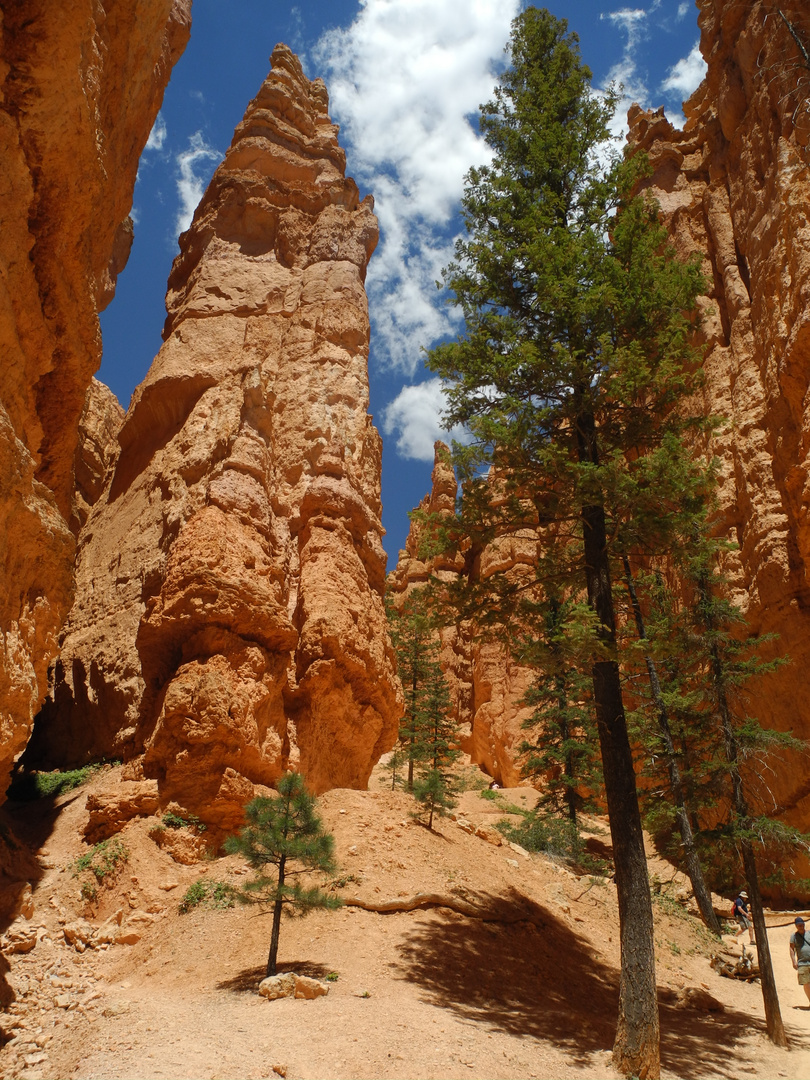 Bryce Canyon, Navajo Trail