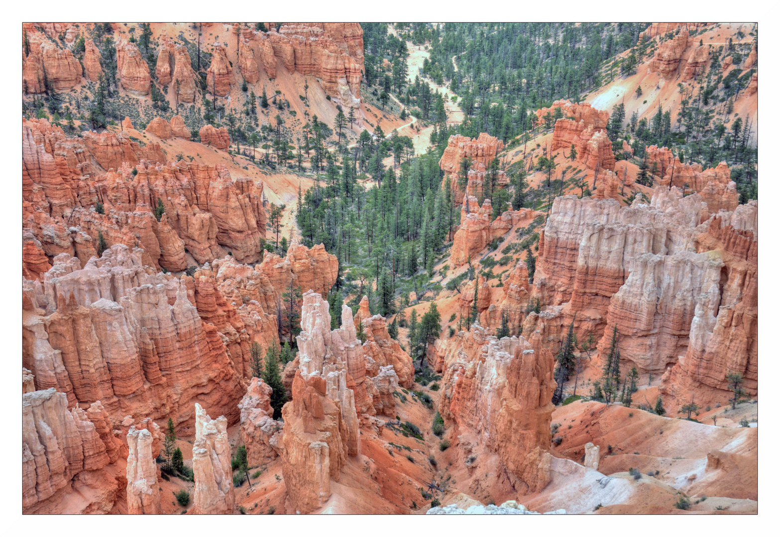 Bryce Canyon No 2