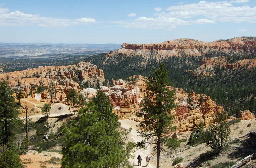 Bryce Canyon No.2