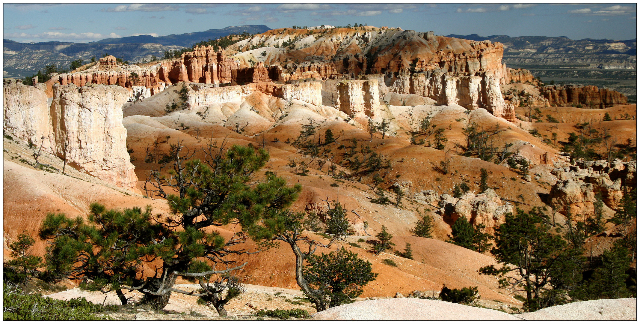 Bryce Canyon NP # 01