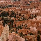 Bryce Canyon – NP 1