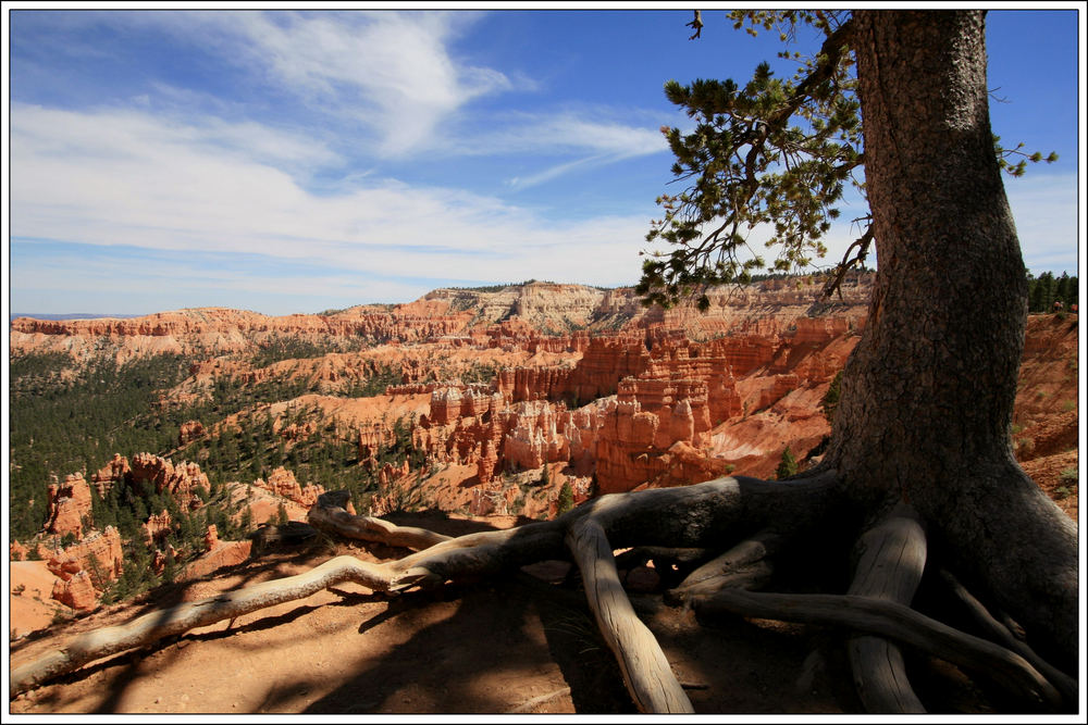 Bryce Canyon NP