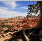 Bryce Canyon NP